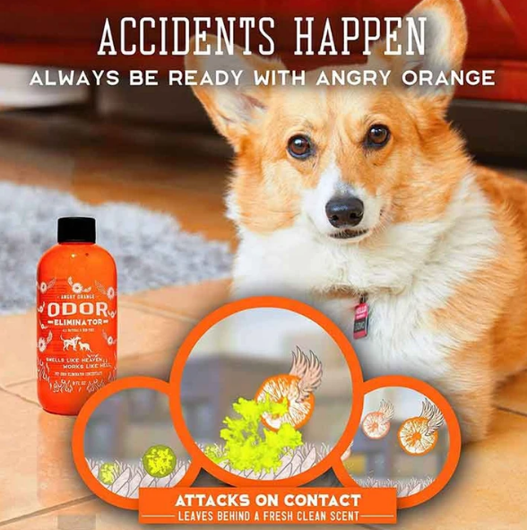 Save 25% on Your 1st Order at AngryOrange